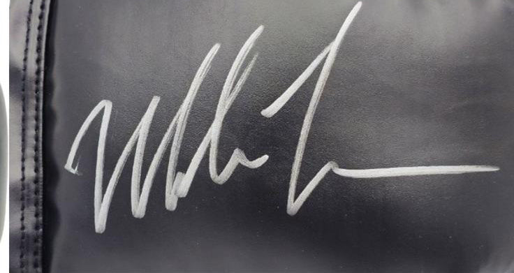 Boxhandschuhe von Iron Mike Tyson